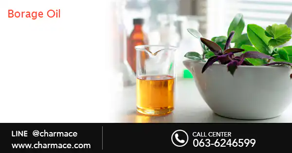 สารสกัด Borage oil (น้ำมันโบราจ)