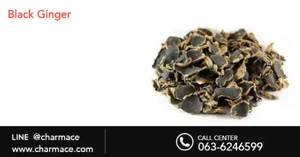 สารสกัด Black Ginger