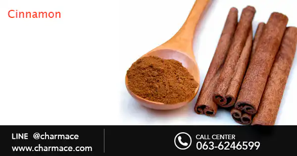 สารสกัดจากอบเชย Cinnamon