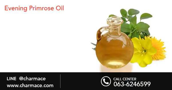 สารสกัด Evening primrose oil (น้ำมันอีฟนิ่ง พริมโรส)