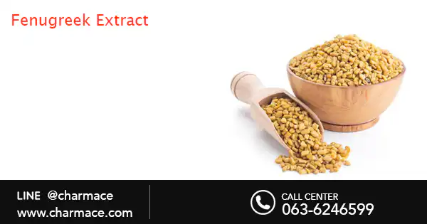 สารสกัดจากลูกซัด Fenugreek Extract