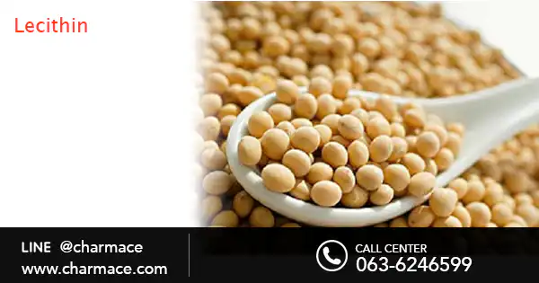 สารสกัดจาก Lecithin