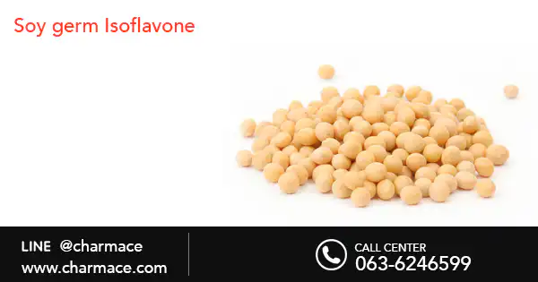 สารสกัด Soy germ Isoflavone