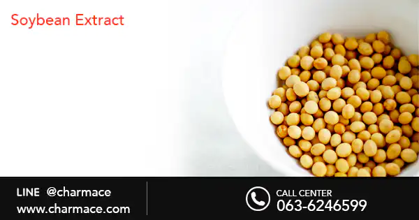 สารสกัด Soybean Extract