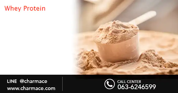 สารสกัด Whey Protein