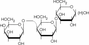 MOTHER’S OLIGO