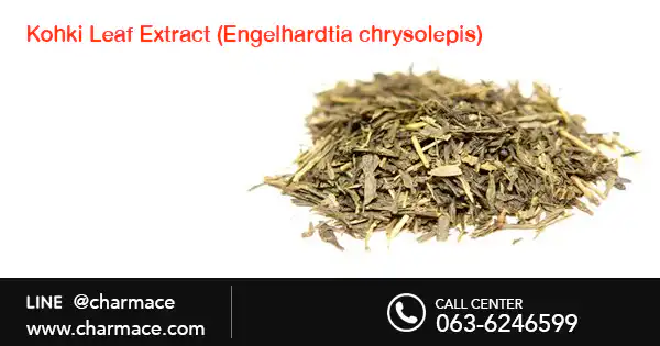 สารสกัดจาก Kohki Leaf Extract (Engelhardtia chrysolepis)