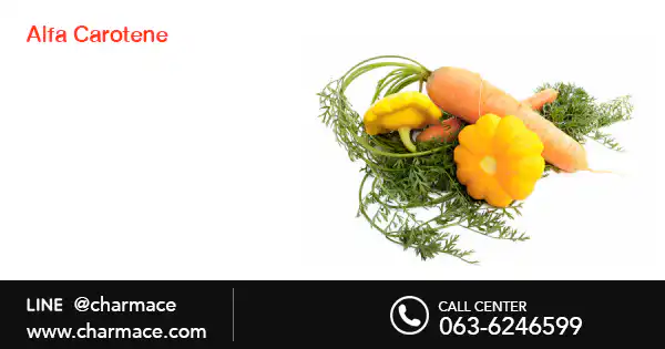 สารสกัดจาก Alfa Carotene