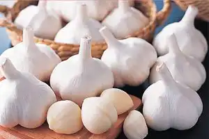 อาหารเสริมบำรุงไต และป้องกันเบาหวาน