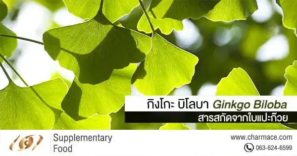 รับผลิตอาหารเสริมบำรุงสมองกิงโกะ บิโลบา สารสกัดจากใบแปะก๊วย