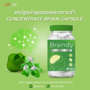 ผลิตอาหารเสริมบำรุงสมอง สร้างแบรนด์อาหารเสริมบำรุงสมอง กับ ชาร์แมซ คอสเมด Concentrate brain capsule supplement Charmace Cosmed