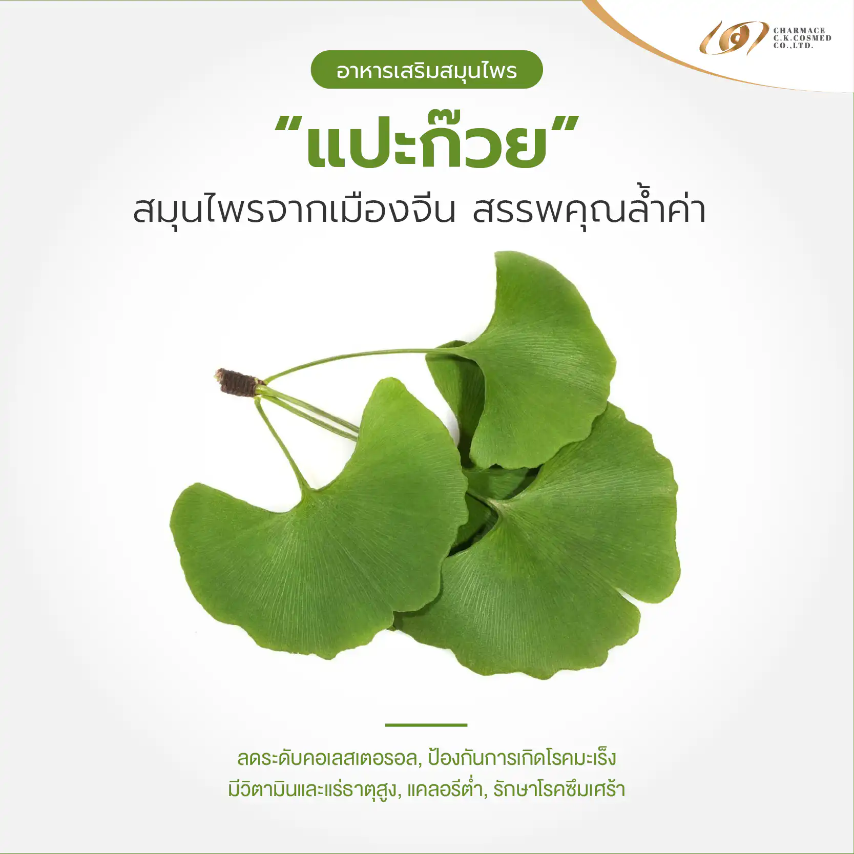 สร้างแบรนด์ให้ปัง ด้วยอาหารเสริมสมุนไพร แปะก๊วย โสม และ เห็ดหลินจือ