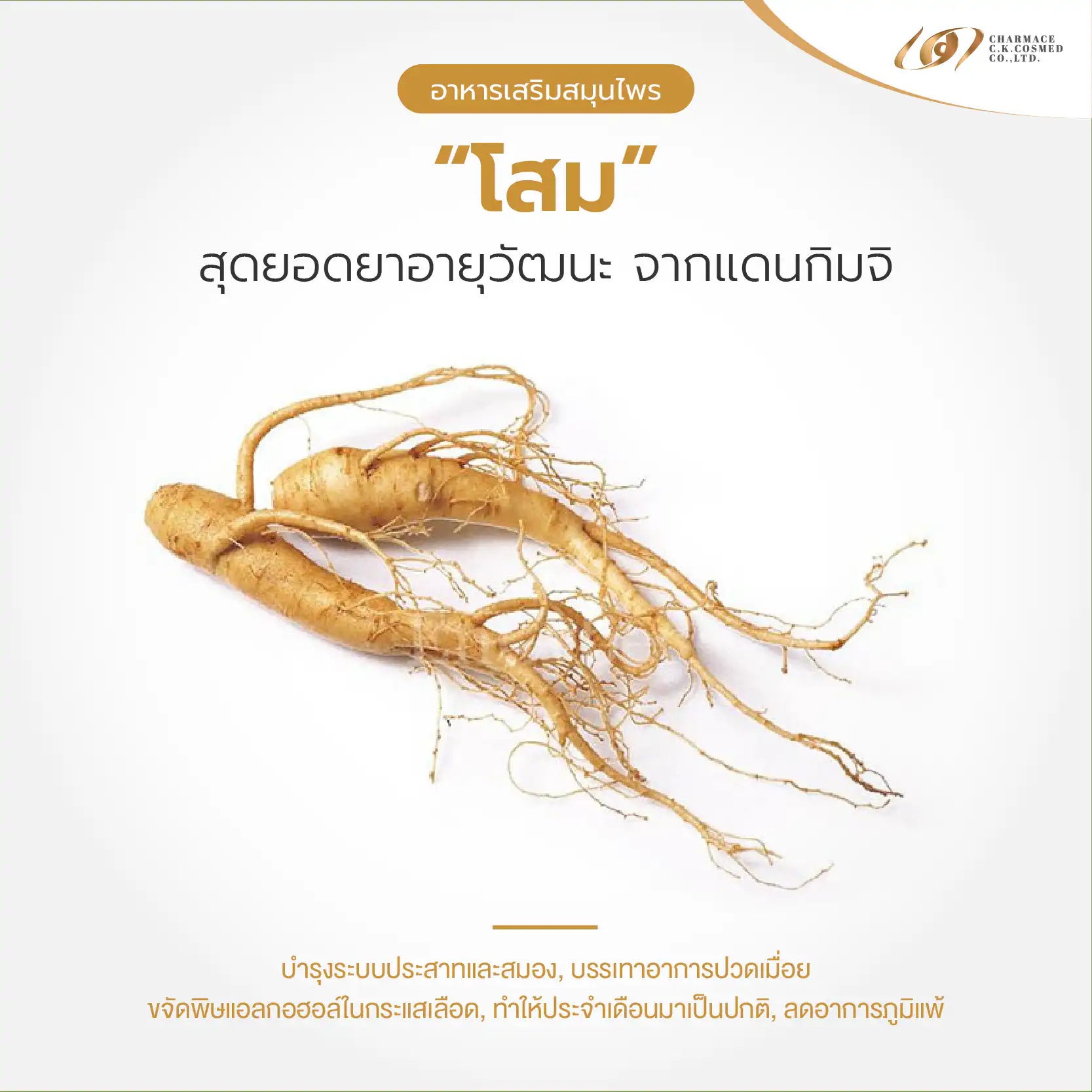 สร้างแบรนด์ให้ปัง ด้วยอาหารเสริมสมุนไพร แปะก๊วย โสม และ เห็ดหลินจือ
