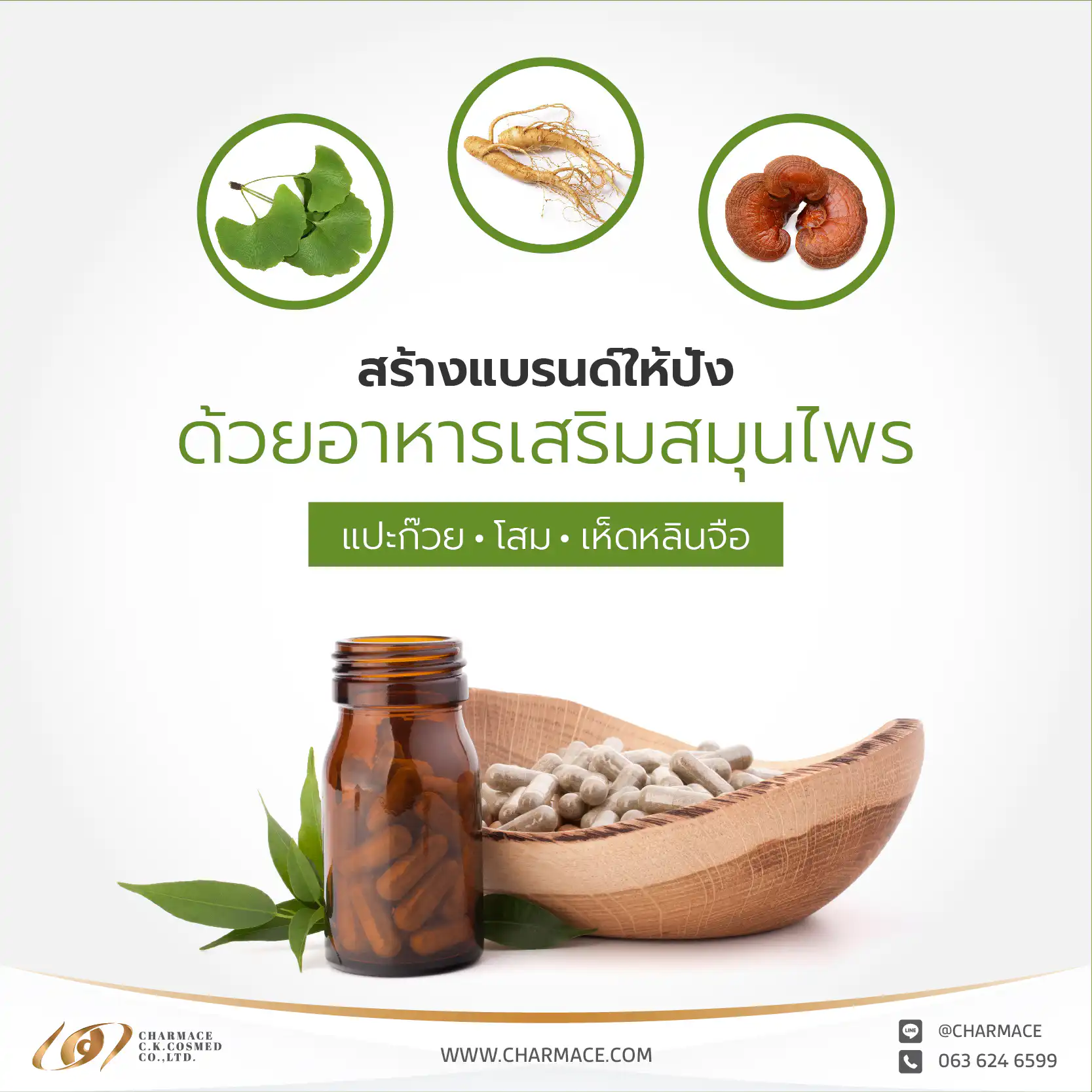 สร้างแบรนด์ให้ปัง ด้วยอาหารเสริมสมุนไพร แปะก๊วย โสม และ เห็ดหลินจือ