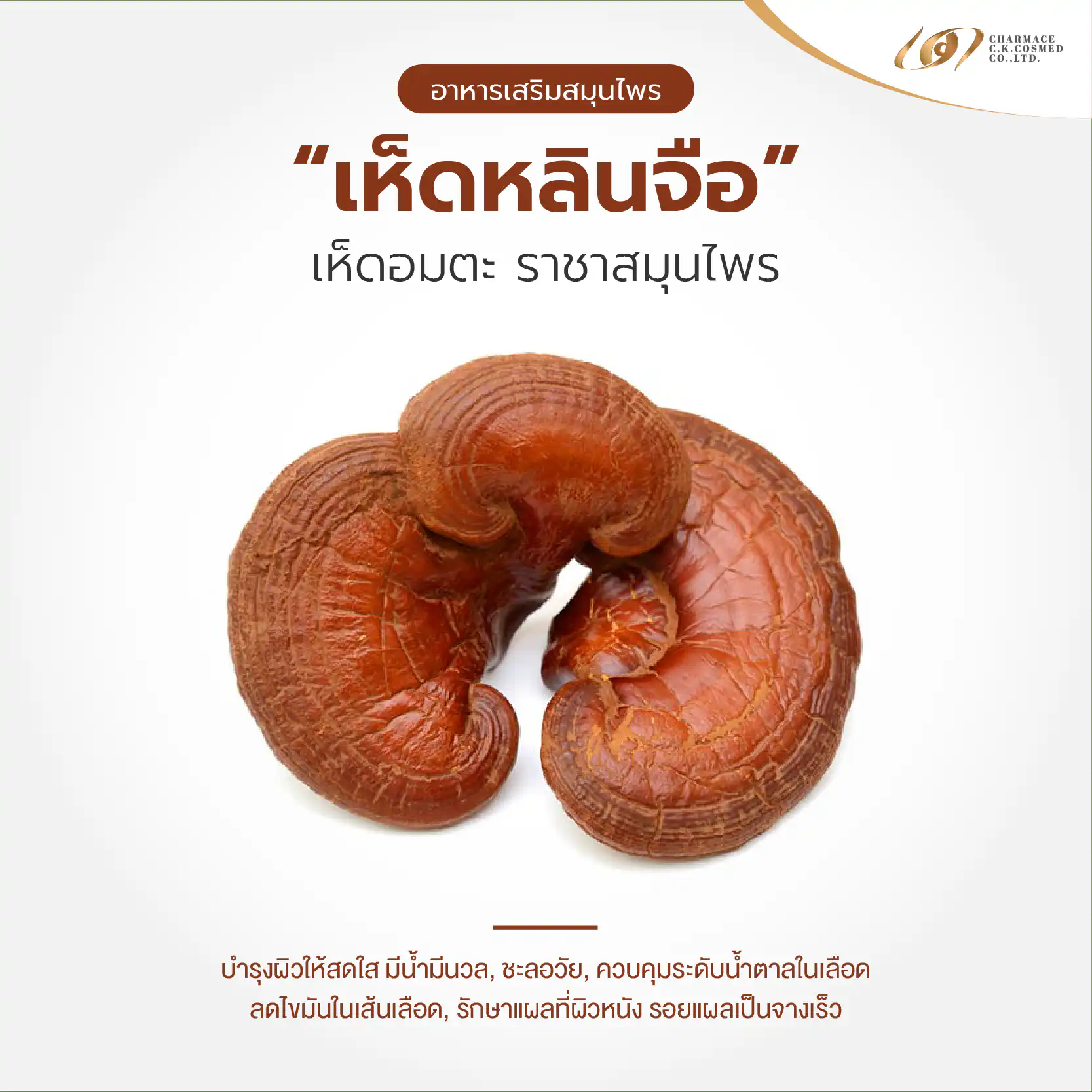 สร้างแบรนด์ให้ปัง ด้วยอาหารเสริมสมุนไพร แปะก๊วย โสม และ เห็ดหลินจือ
