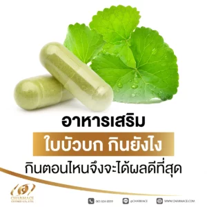 อาหารเสริม ใบบัวบก กินยังไง กินตอนไหนจึงจะได้ผลดีที่สุด