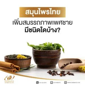 สมุนไพรไทย เพิ่มสมรรถภาพเพศชาย มีชนิดใดบ้าง?