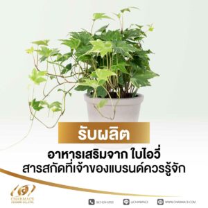 รับผลิตอาหารเสริมจาก ใบไอวี่ สารสกัดที่เจ้าของแบรนด์ควรรู้จัก