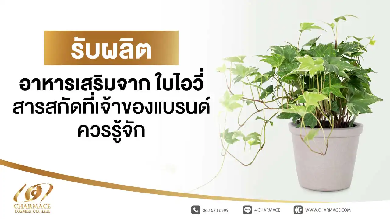 รับผลิตอาหารเสริมจาก ใบไอวี่ สารสกัดที่เจ้าของแบรนด์ควรรู้จัก