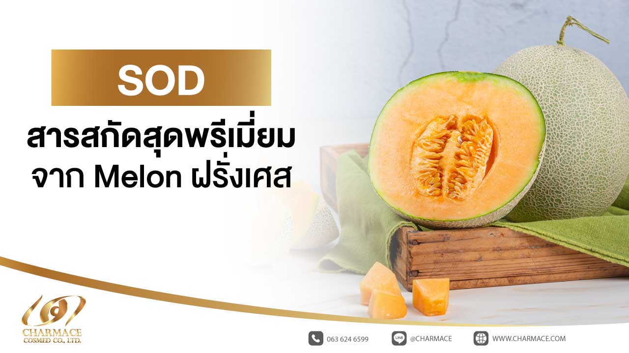 SOD สารสกัดสุดพรีเมี่ยม จาก Melon ฝรั่งเศส