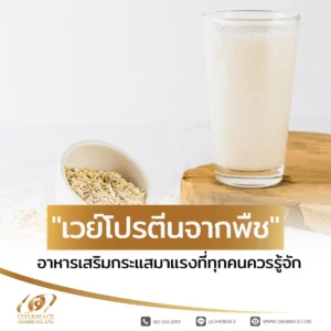 "เวย์โปรตีนจากพืช" อาหารเสริมกระแสมาแรงที่ทุกคนควรรู้จัก