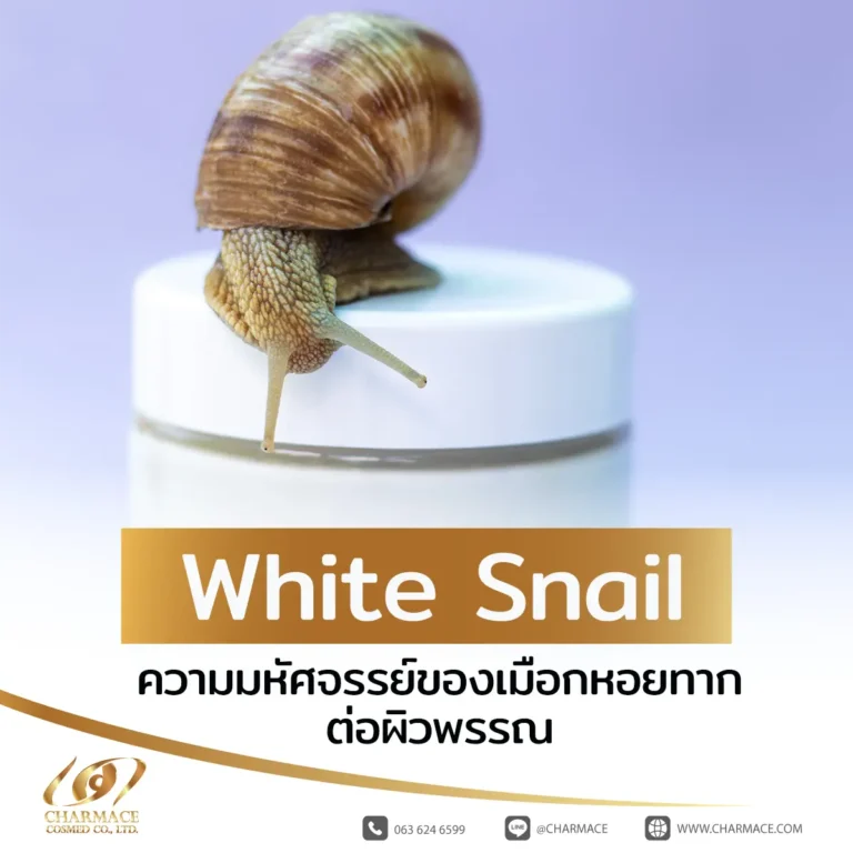 white snail ความมหัศจรรย์ของเมือกหอยทากต่อผิวพรรณ